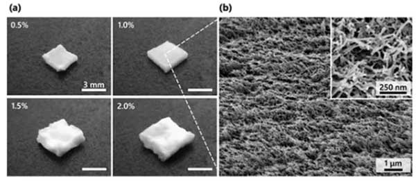 東京大學制備出一種隔熱、阻燃的中孔納米纖維素干凝膠